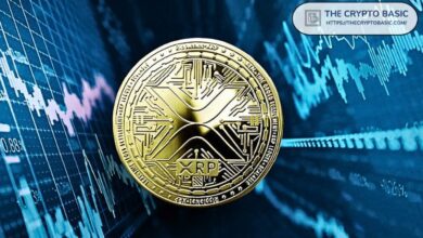 Descubre Dos Razones Por Qué XRP Aumenta un 15% a $0.8 Mientras Bitcoin Baja - Cripto Boom